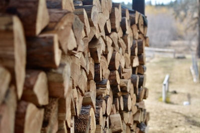 A stack of neatly arranged cut firewood, displayed along the side of a building or structure. The logs are uniformly cut, showcasing the rings of the wood. In the background, an out-of-focus view of a natural landscape with trees and a path can be seen.