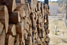 A stack of neatly arranged cut firewood, displayed along the side of a building or structure. The logs are uniformly cut, showcasing the rings of the wood. In the background, an out-of-focus view of a natural landscape with trees and a path can be seen.
