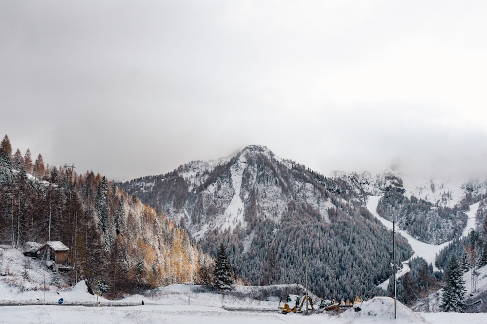 a snowy landscape with a mountain in the background