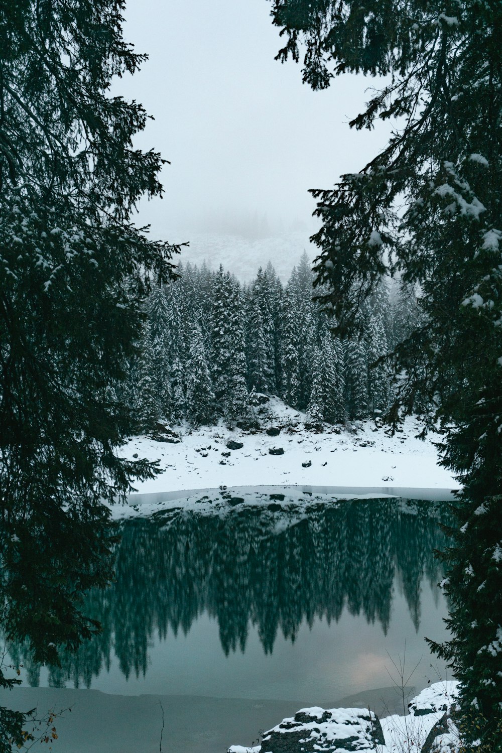 Ein von schneebedeckten Bäumen umgebener See in einem Wald