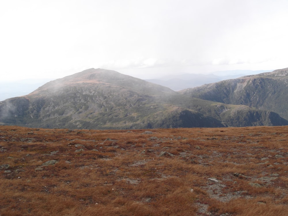 a grassy field with mountains in the background