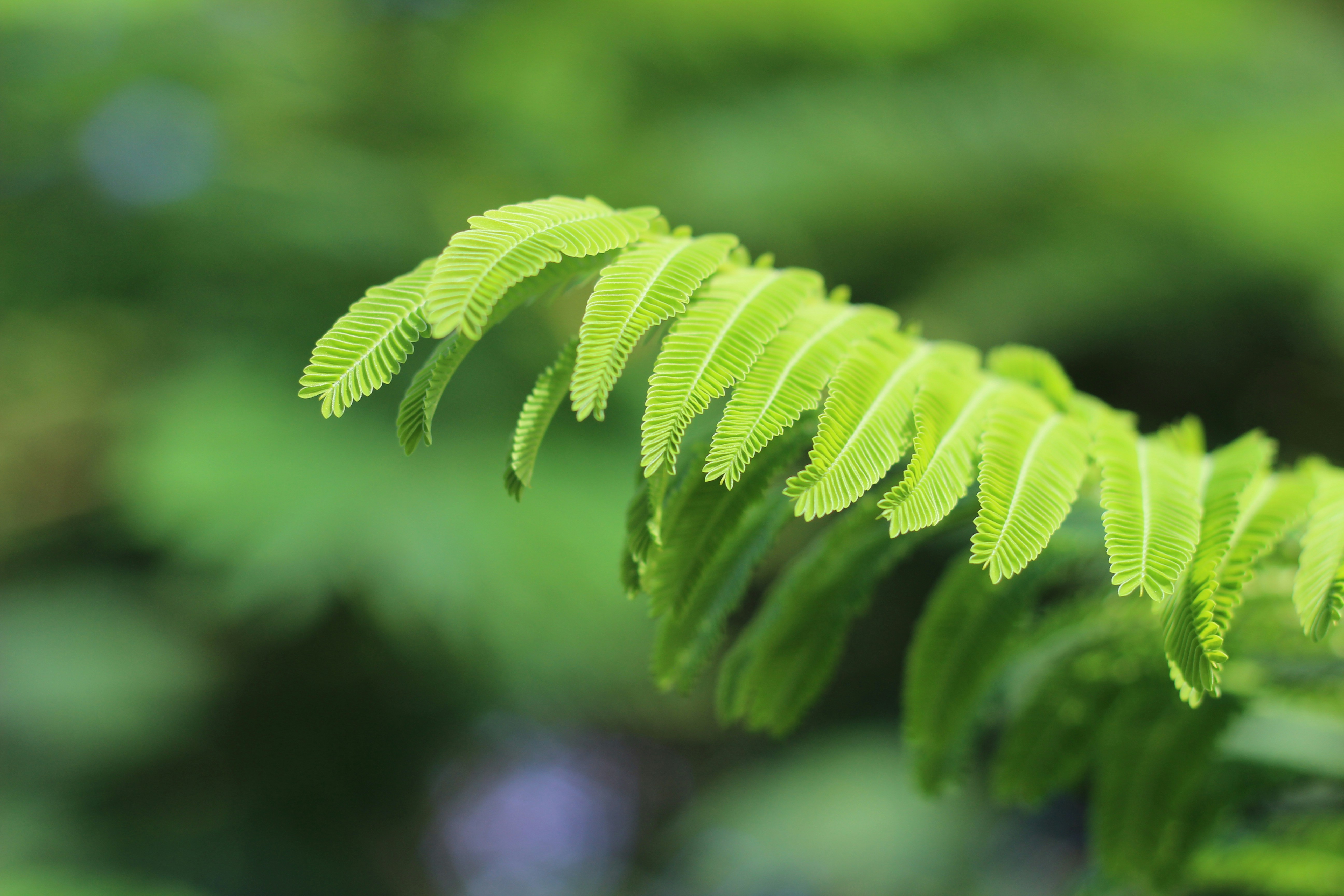 Photo by darkroomsrd