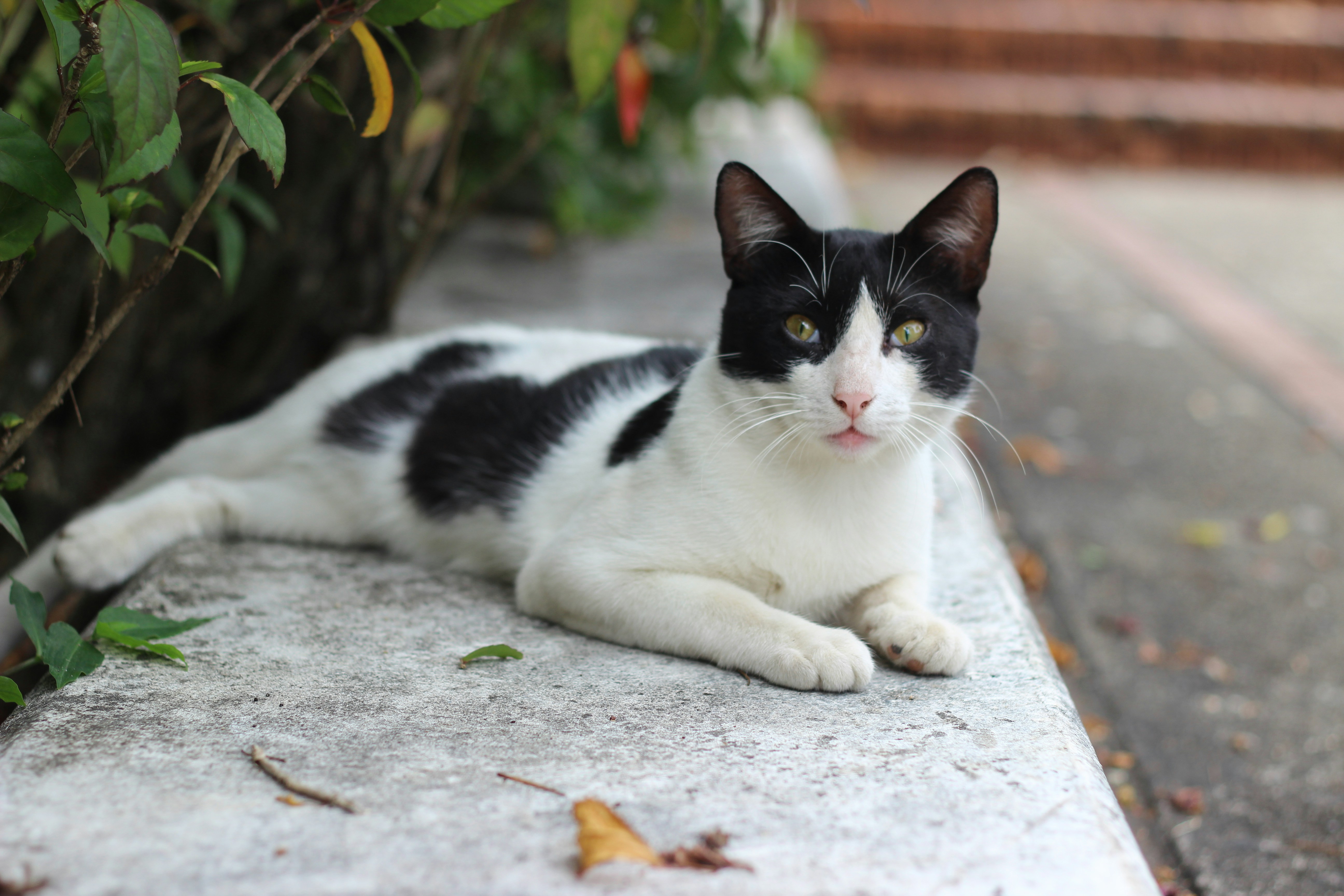 Photo by darkroomsrd