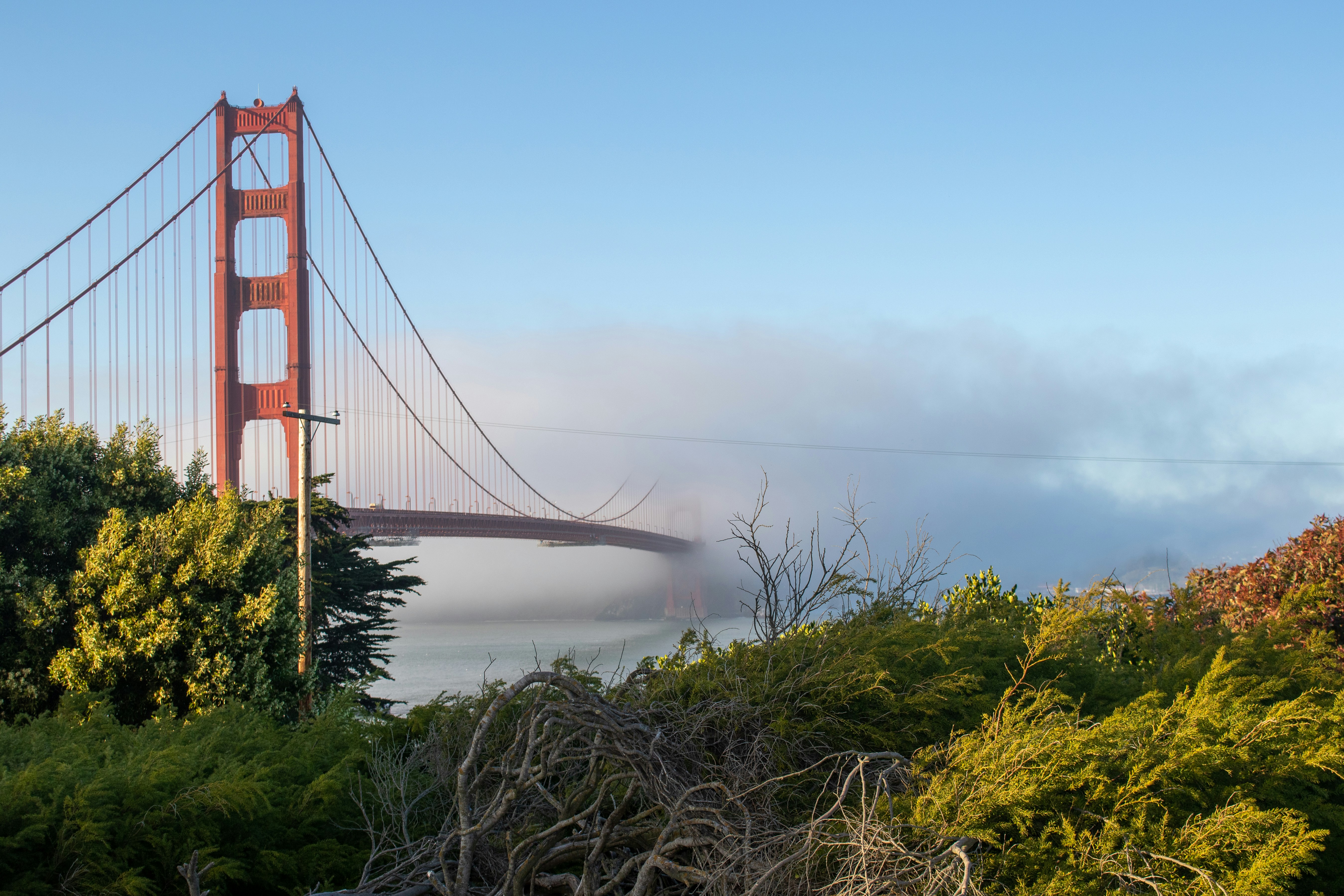 A foggy view of the golden gate bridge