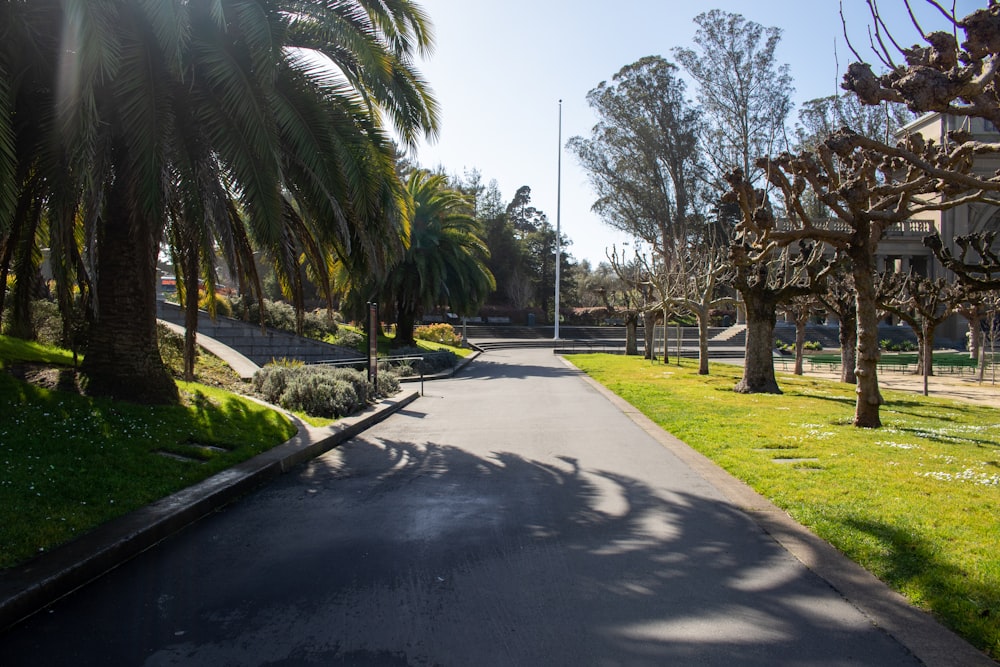 a street lined with palm trees next to a lush green park