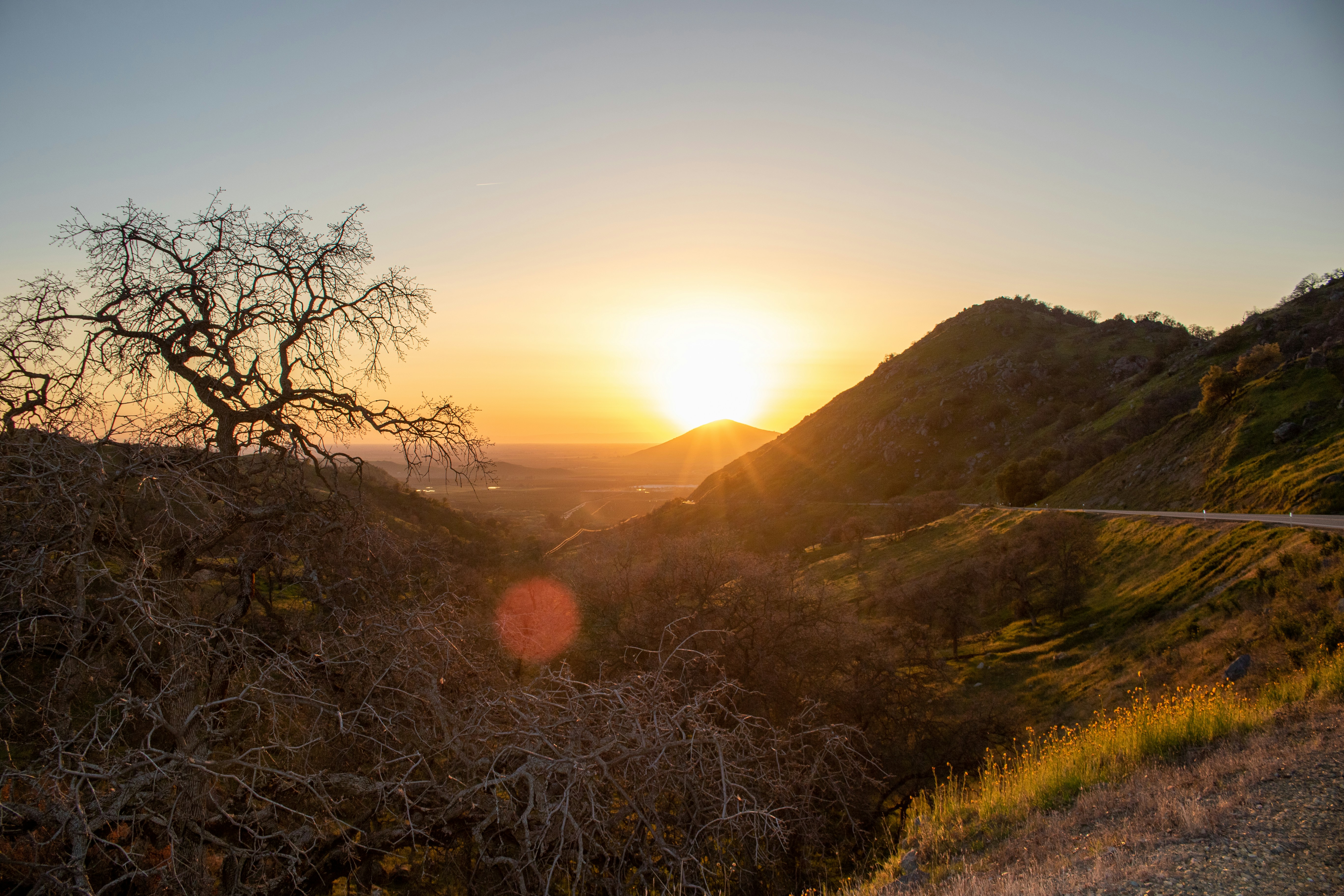 Photo by catt_titude