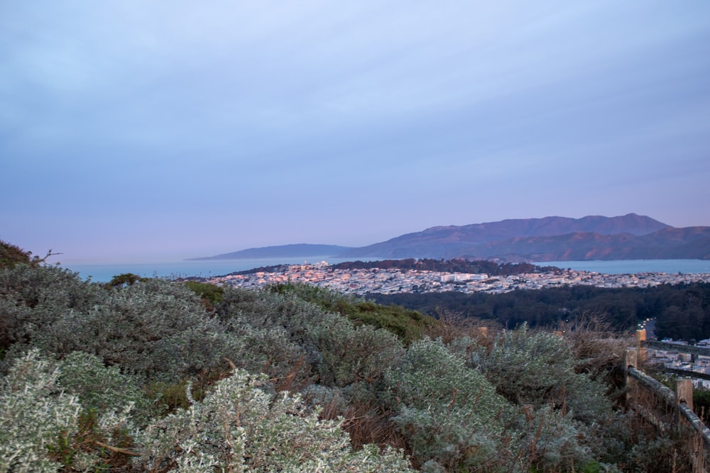 a view of a city from the top of a hill