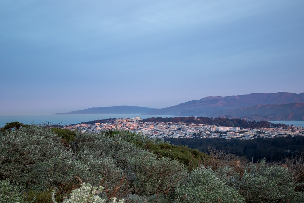 a view of a city from the top of a hill