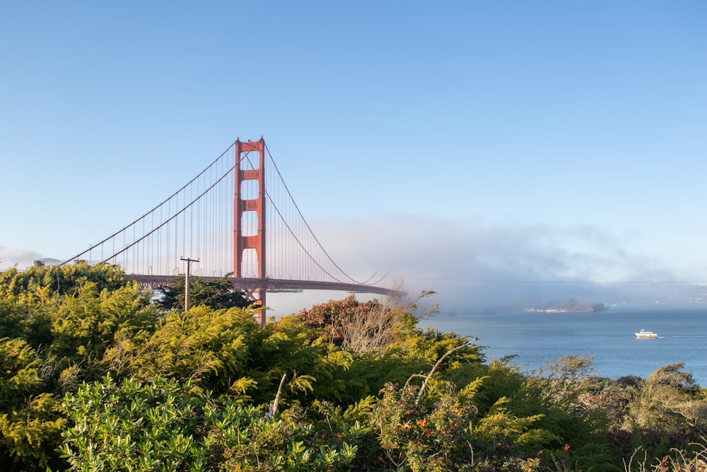 a view of the golden gate bridge in the fog