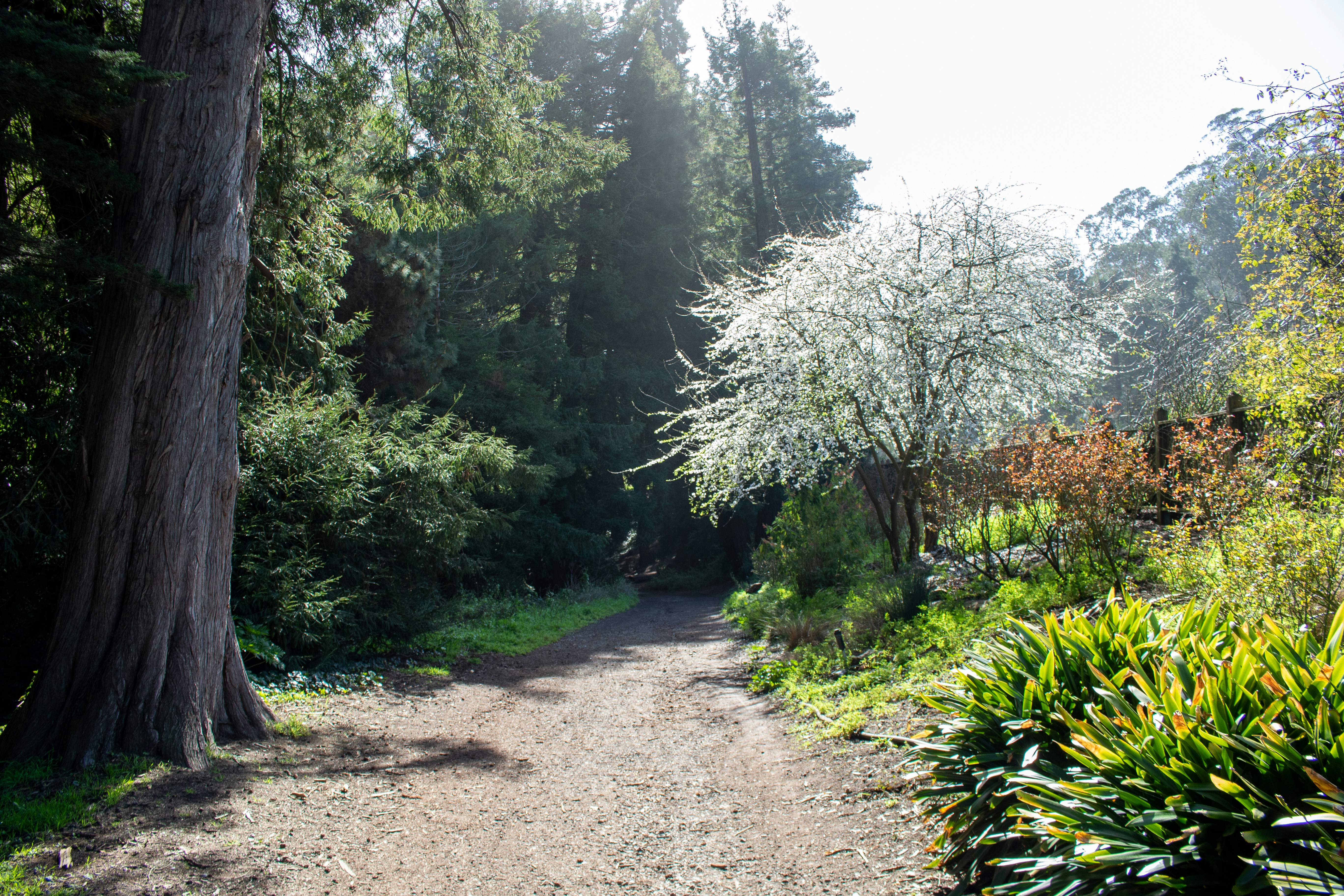 Photo by catt_titude