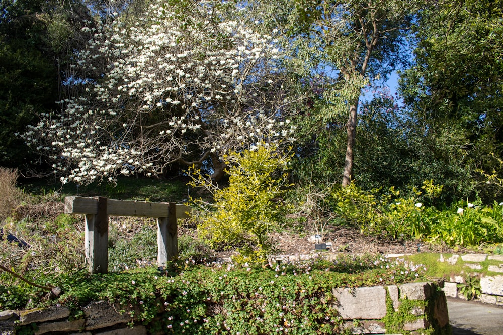 a bench sitting in the middle of a garden