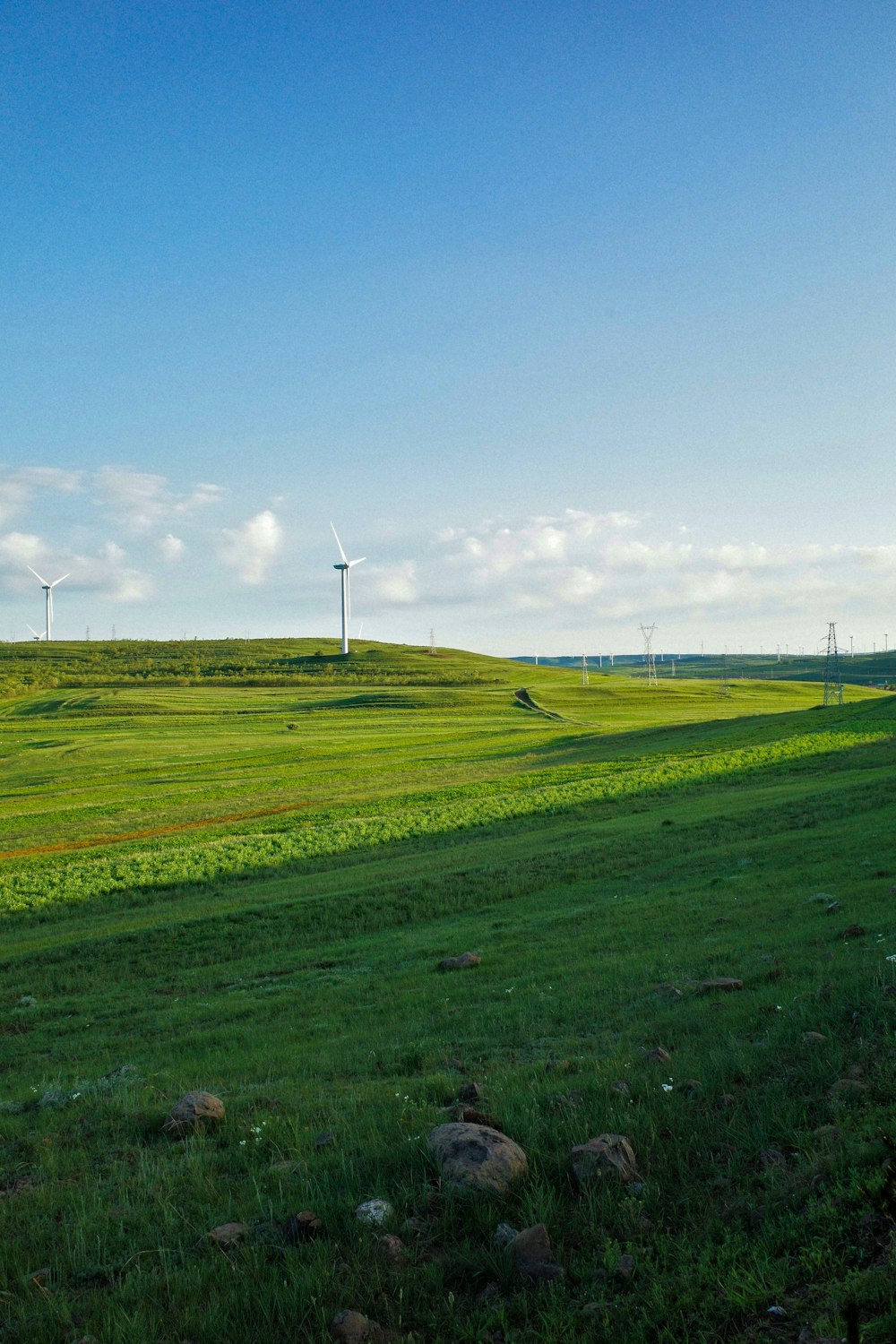 a grassy field with wind turbines in the distance