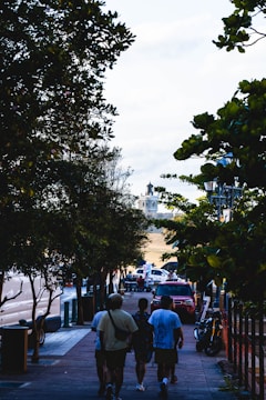 Tree-lined streets with couples and families enjoying a leisurely walk on a sunny afternoon.