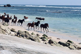 Things to do in Sumba