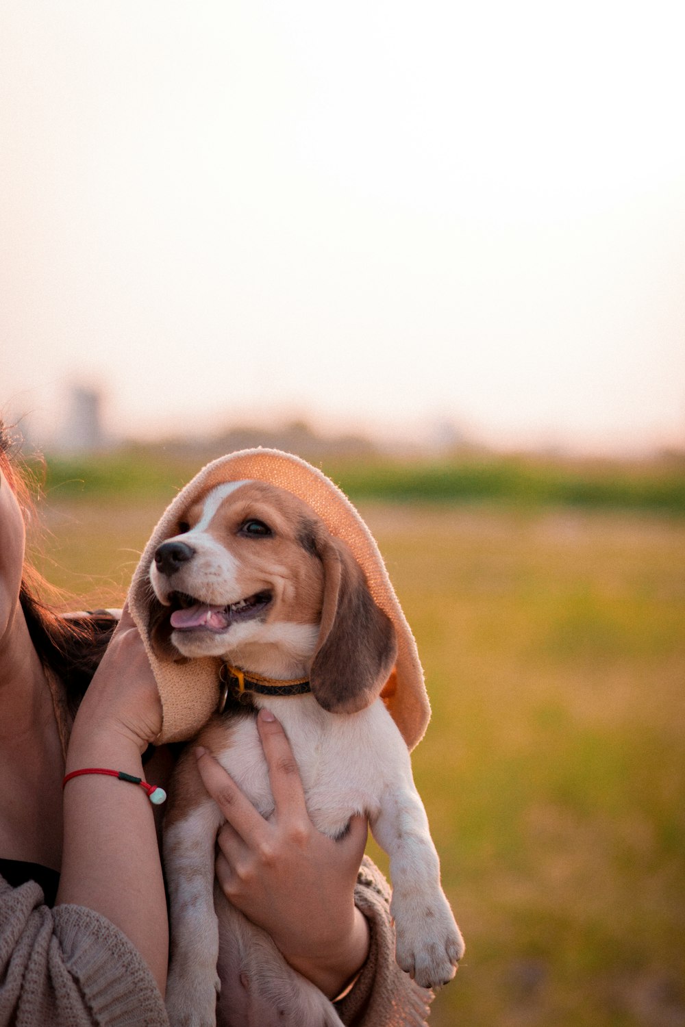 a woman holding a beagle puppy in her arms