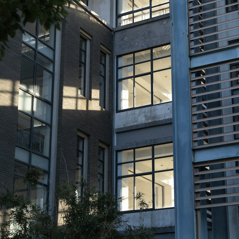 a tall building with lots of windows next to a tree