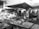 A bustling outdoor market scene with vendors selling a variety of fresh fish and seafood. Multiple tables display different types of fish and shrimp, with customers interacting with the sellers. Umbrellas provide shade as people go about their shopping. Stalls are busy with activity and people examining the produce.