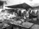 A bustling outdoor market scene with vendors selling a variety of fresh fish and seafood. Multiple tables display different types of fish and shrimp, with customers interacting with the sellers. Umbrellas provide shade as people go about their shopping. Stalls are busy with activity and people examining the produce.