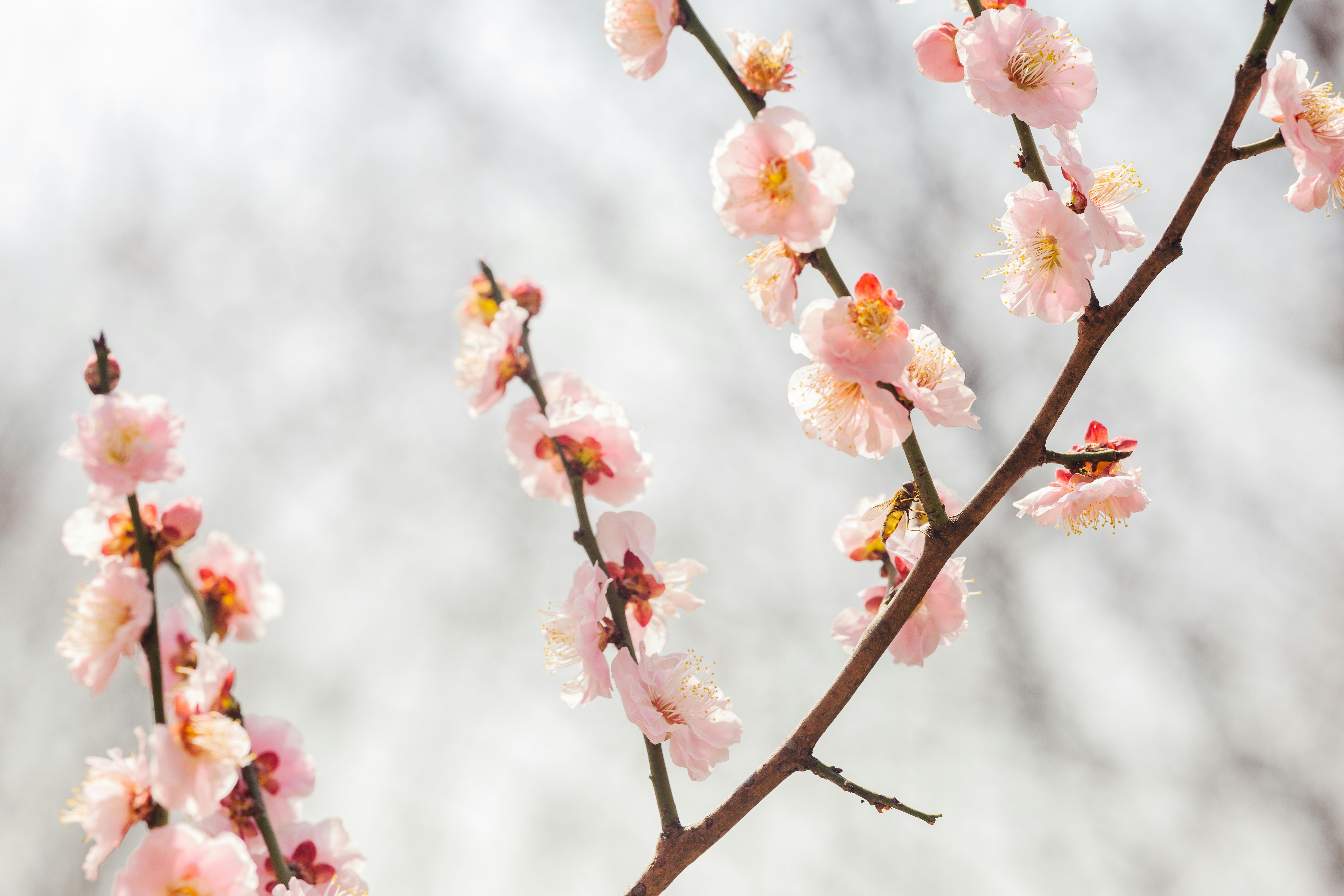 Photo by dylanhendricks