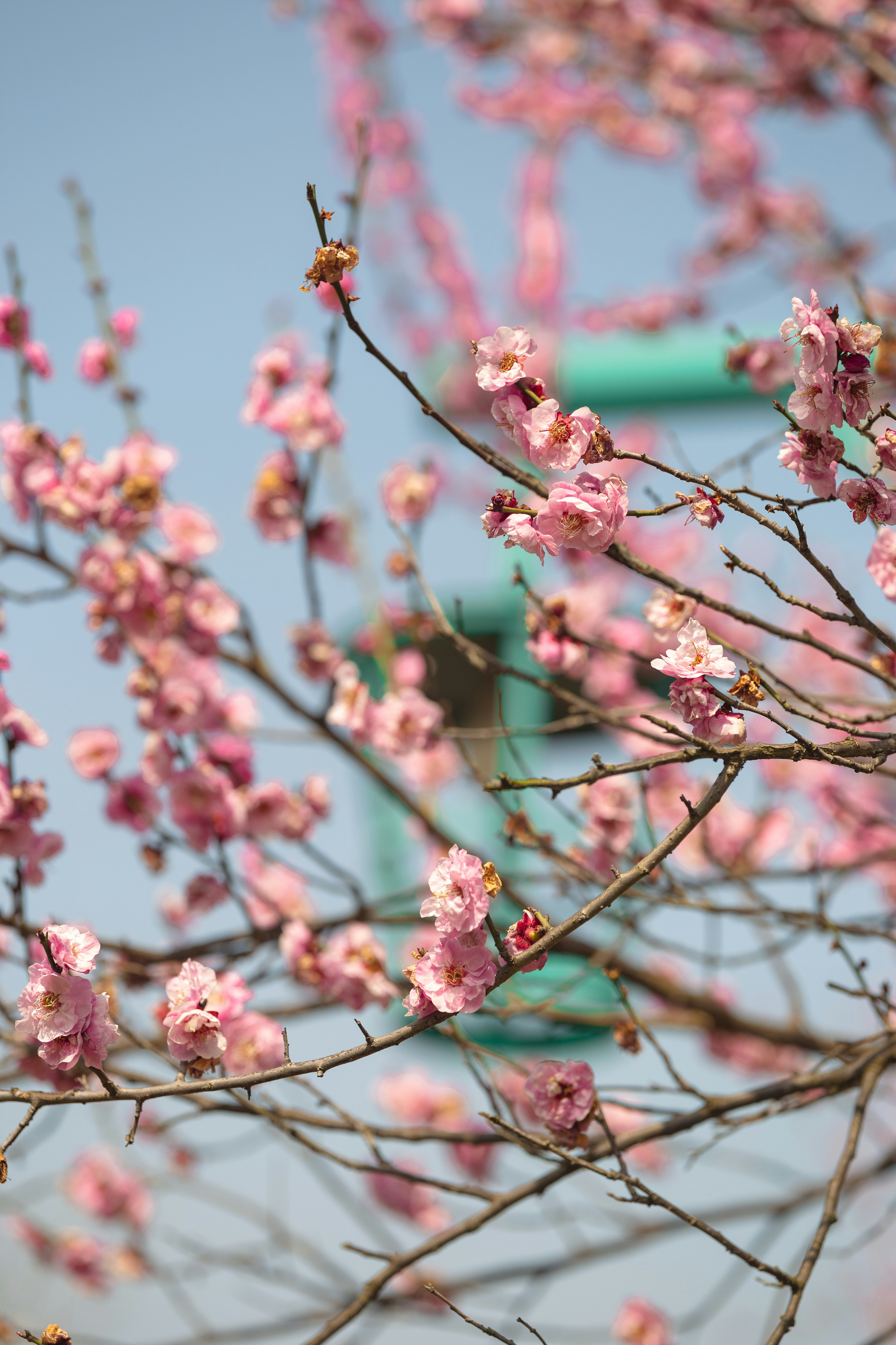 Photo by dylanhendricks