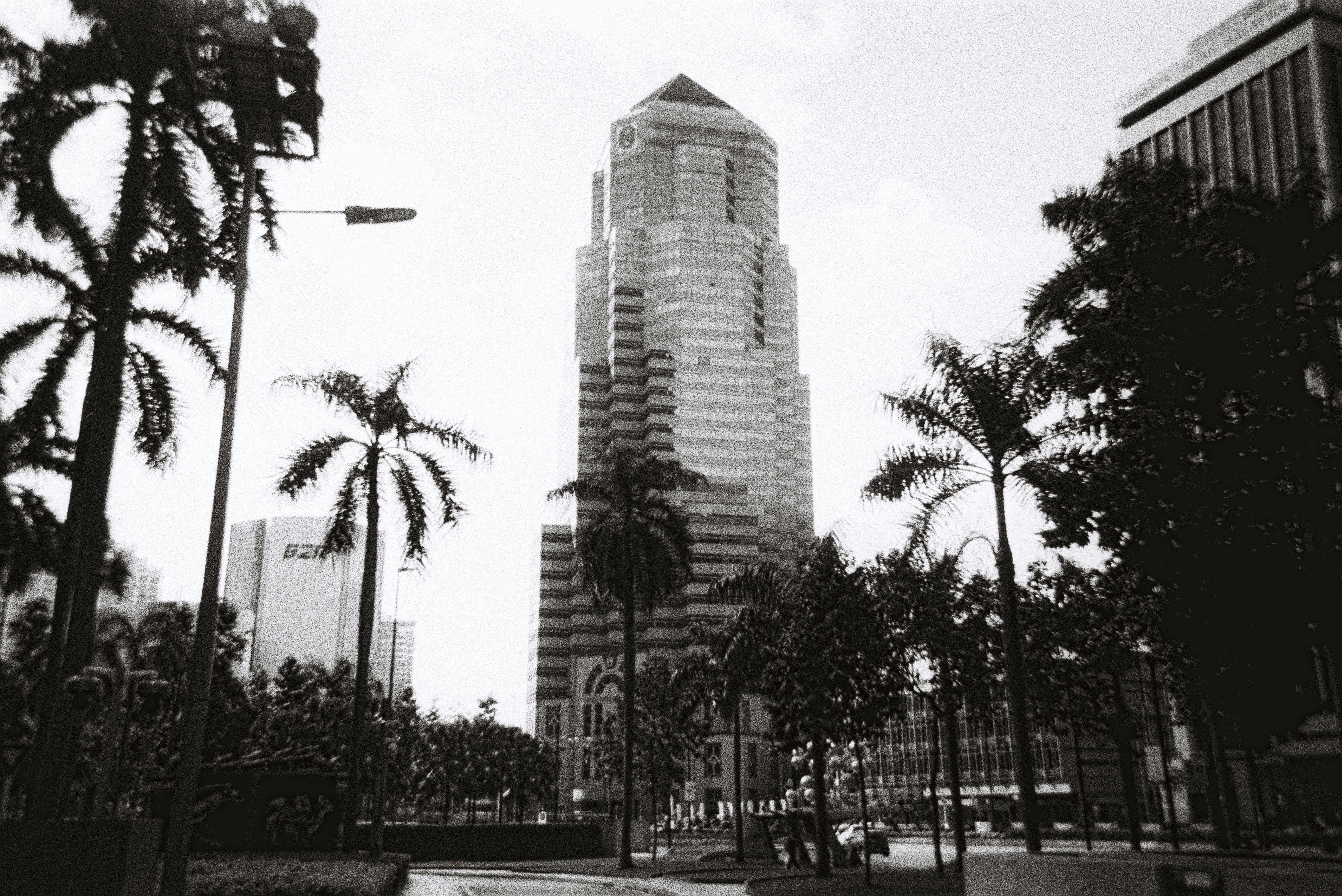 a black and white photo of a tall building