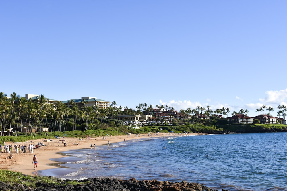 a group of people walking along a beach next to the ocean