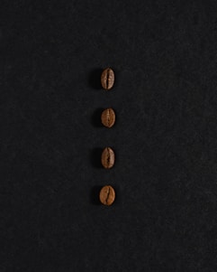 Four coffee beans are arranged in a vertical line against a dark background. The beans are evenly spaced, and each one is oriented with the flat side facing up, showcasing the unique texture and color variations of the roasted coffee beans.