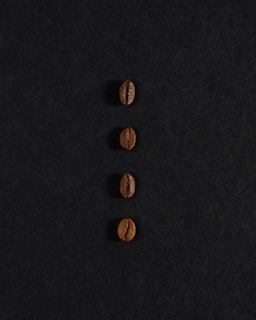 Four coffee beans are arranged in a vertical line against a dark background. The beans are evenly spaced, and each one is oriented with the flat side facing up, showcasing the unique texture and color variations of the roasted coffee beans.