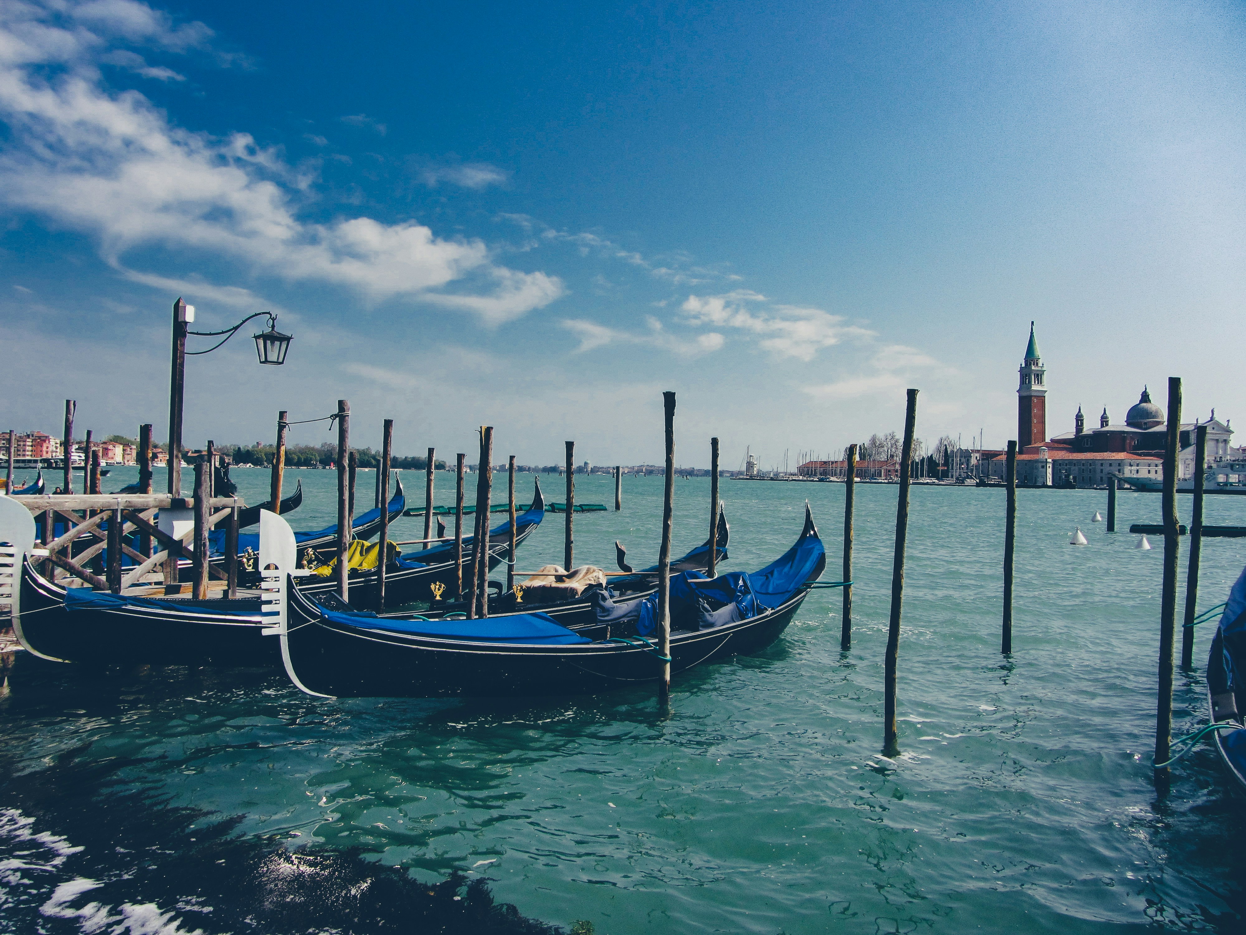 Photo by clovegrove7