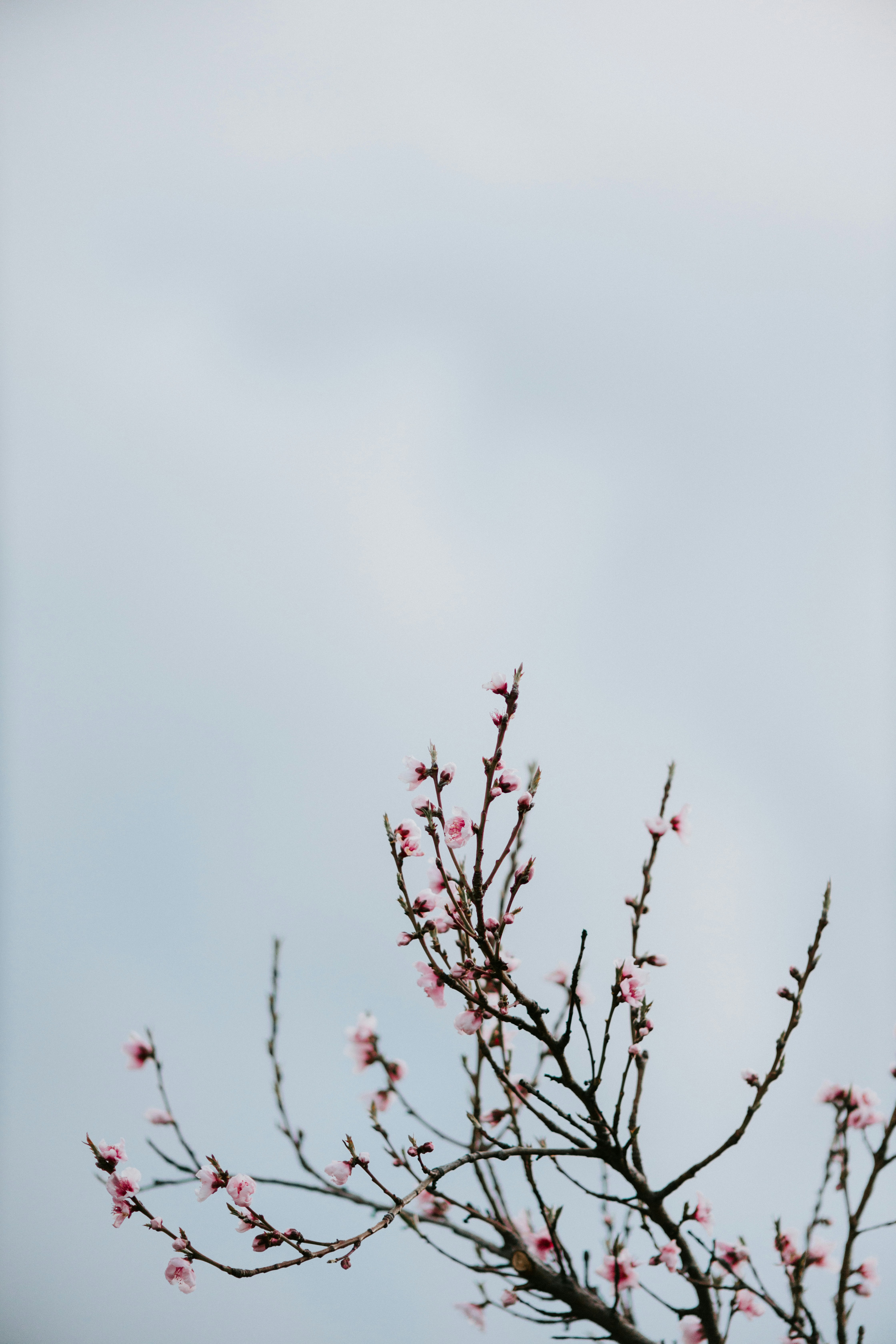 Photo by caleb_woods