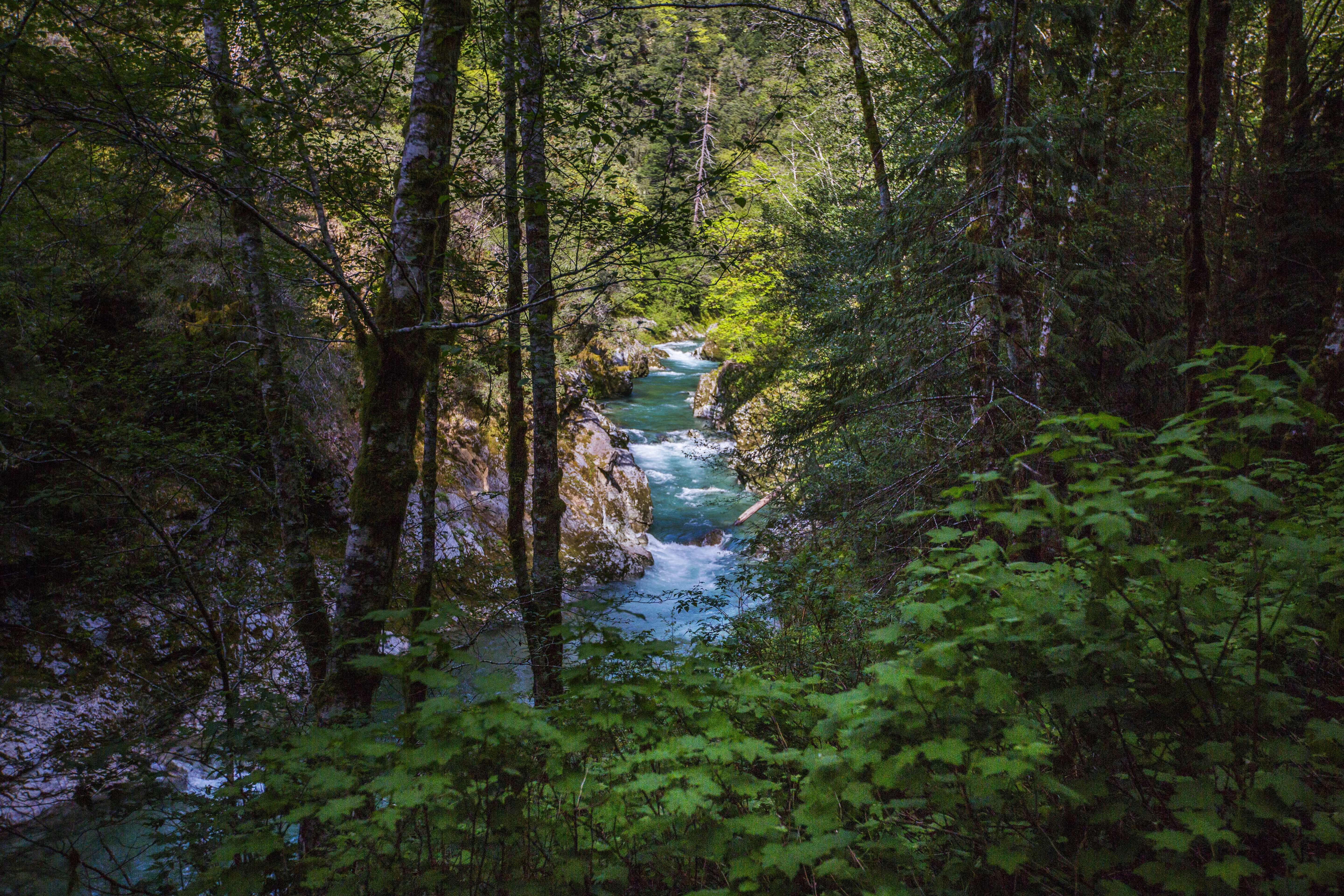 Photo by athoughtbytim