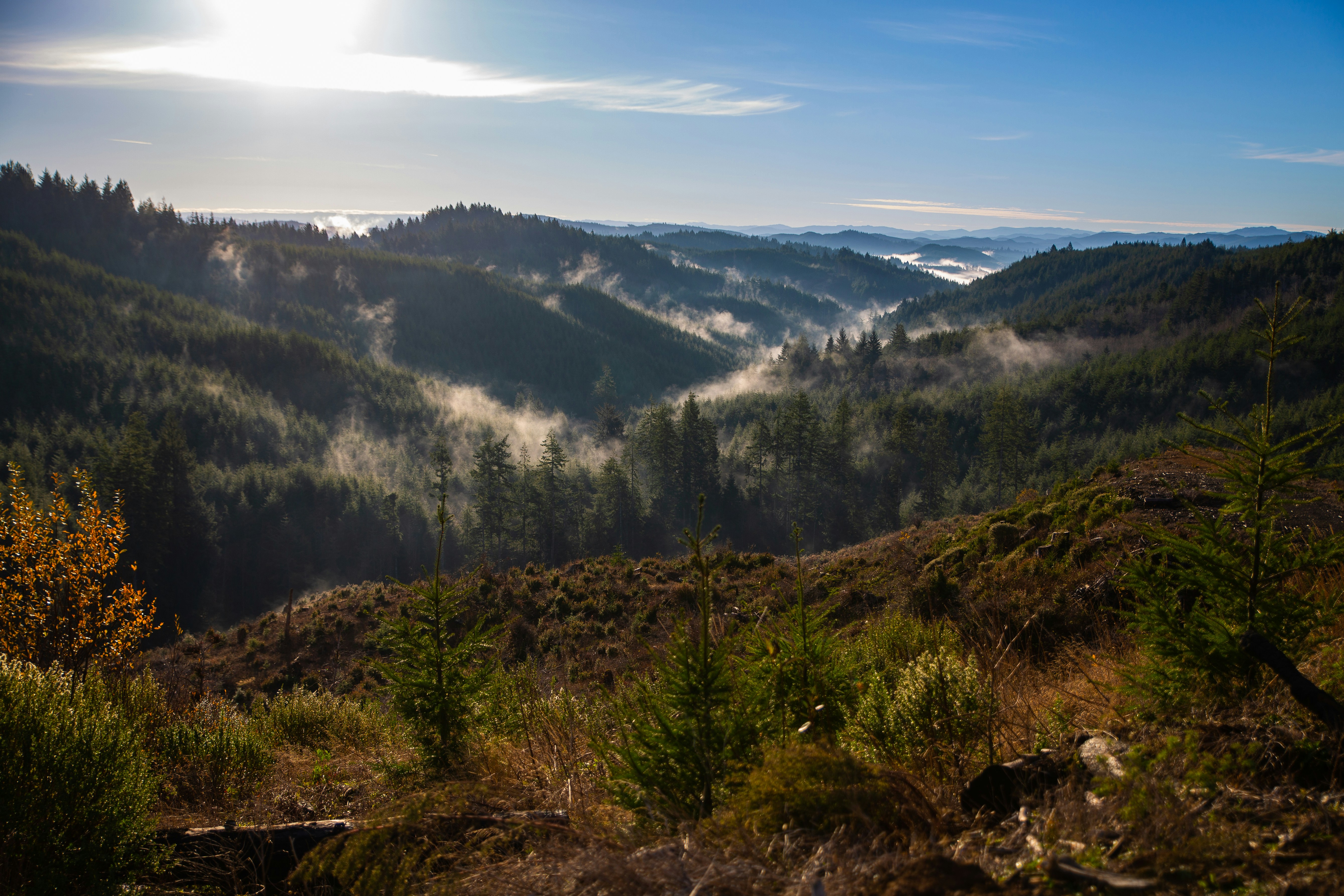 Photo by athoughtbytim