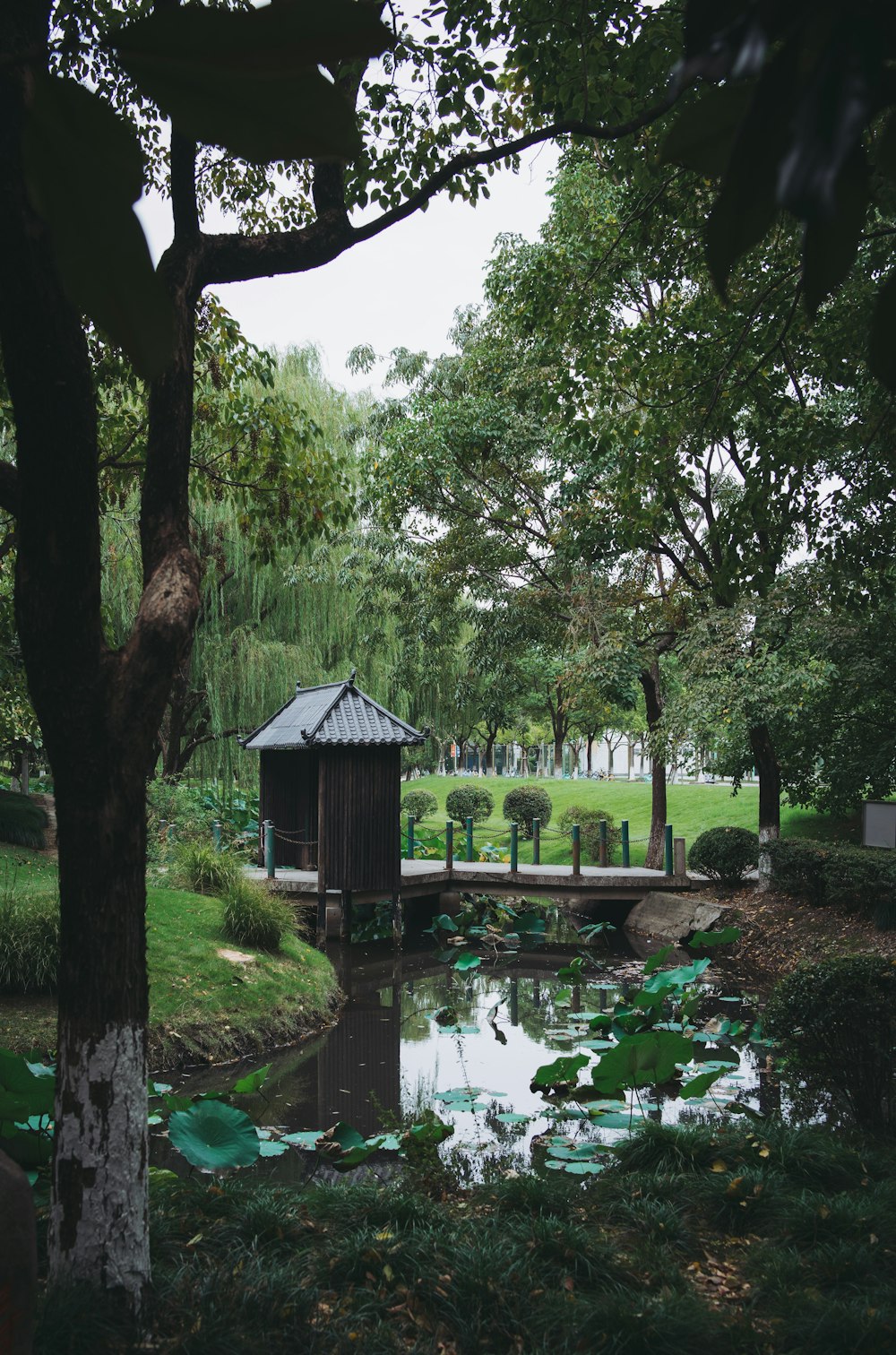 a pond with a gazebo in the middle of it