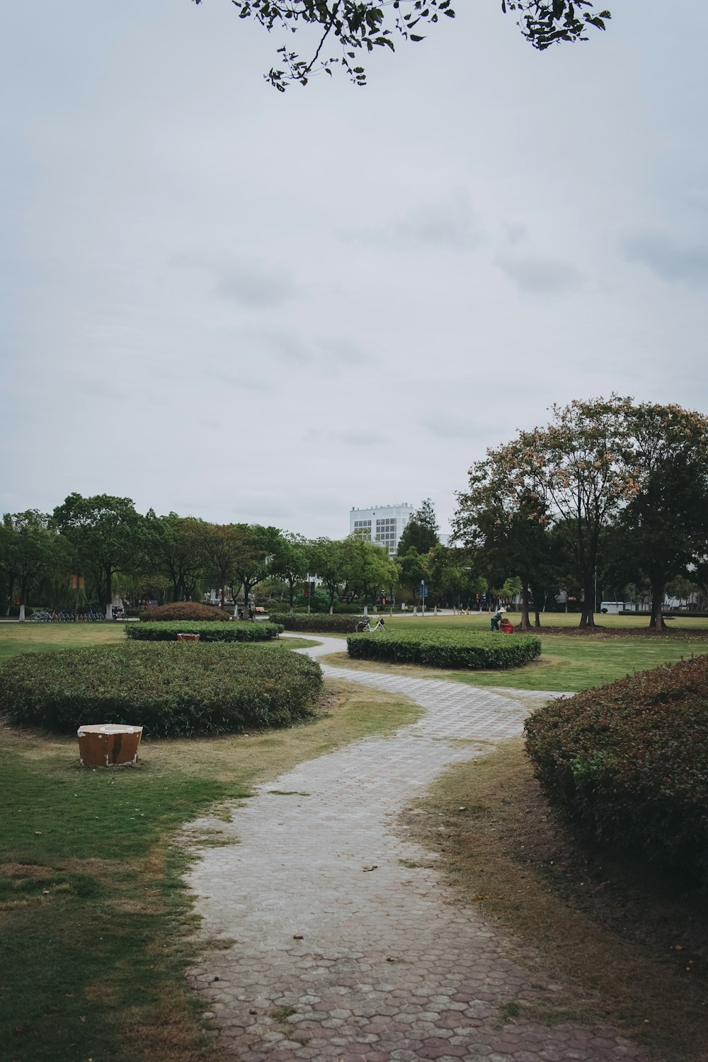 a path in a park with trees and bushes