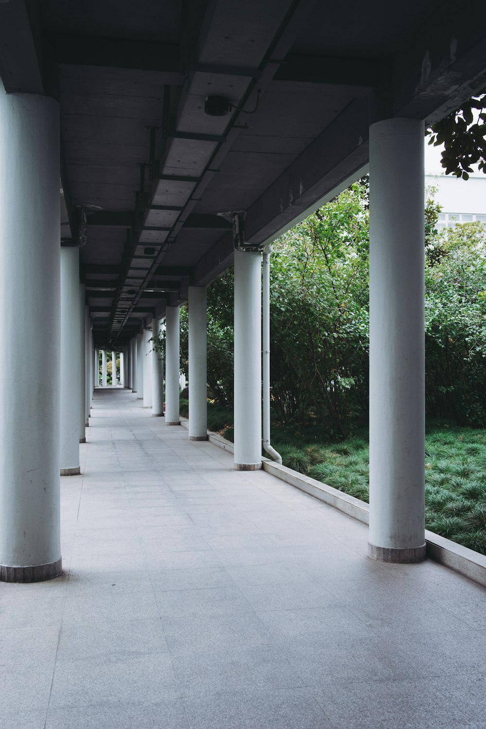 a row of white pillars on a walkway