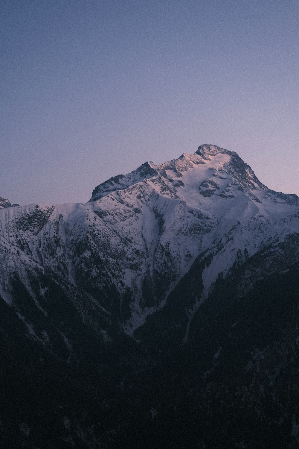 a snow covered mountain with a bird flying over it