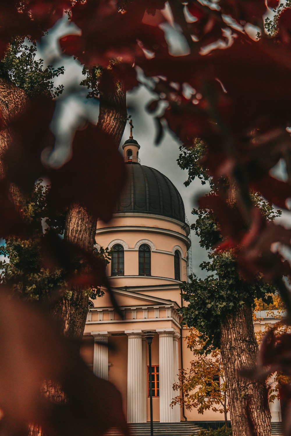 a building with a dome surrounded by trees