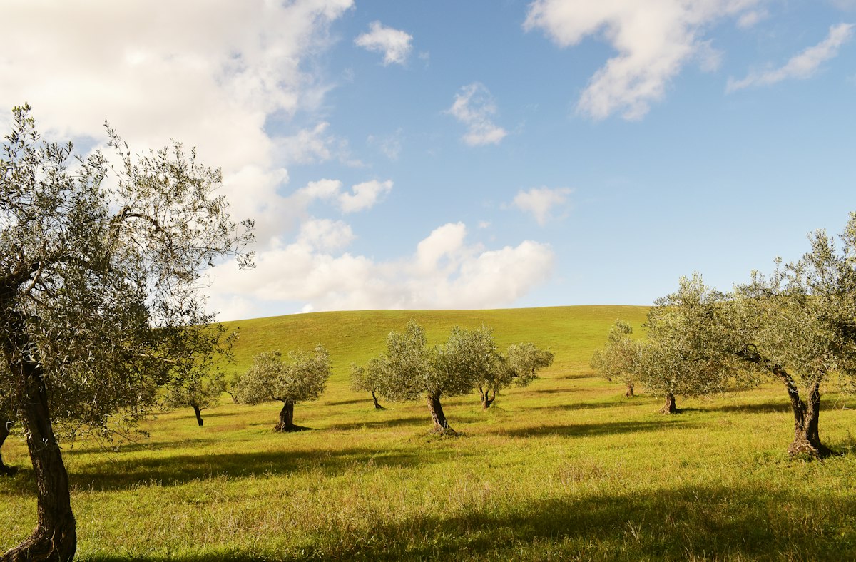 Sierra del Valle del Tiétar
