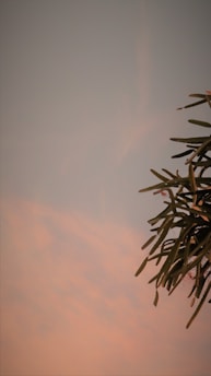 A serene blue sky gradient background complementing a poem writer's portfolio ambiance