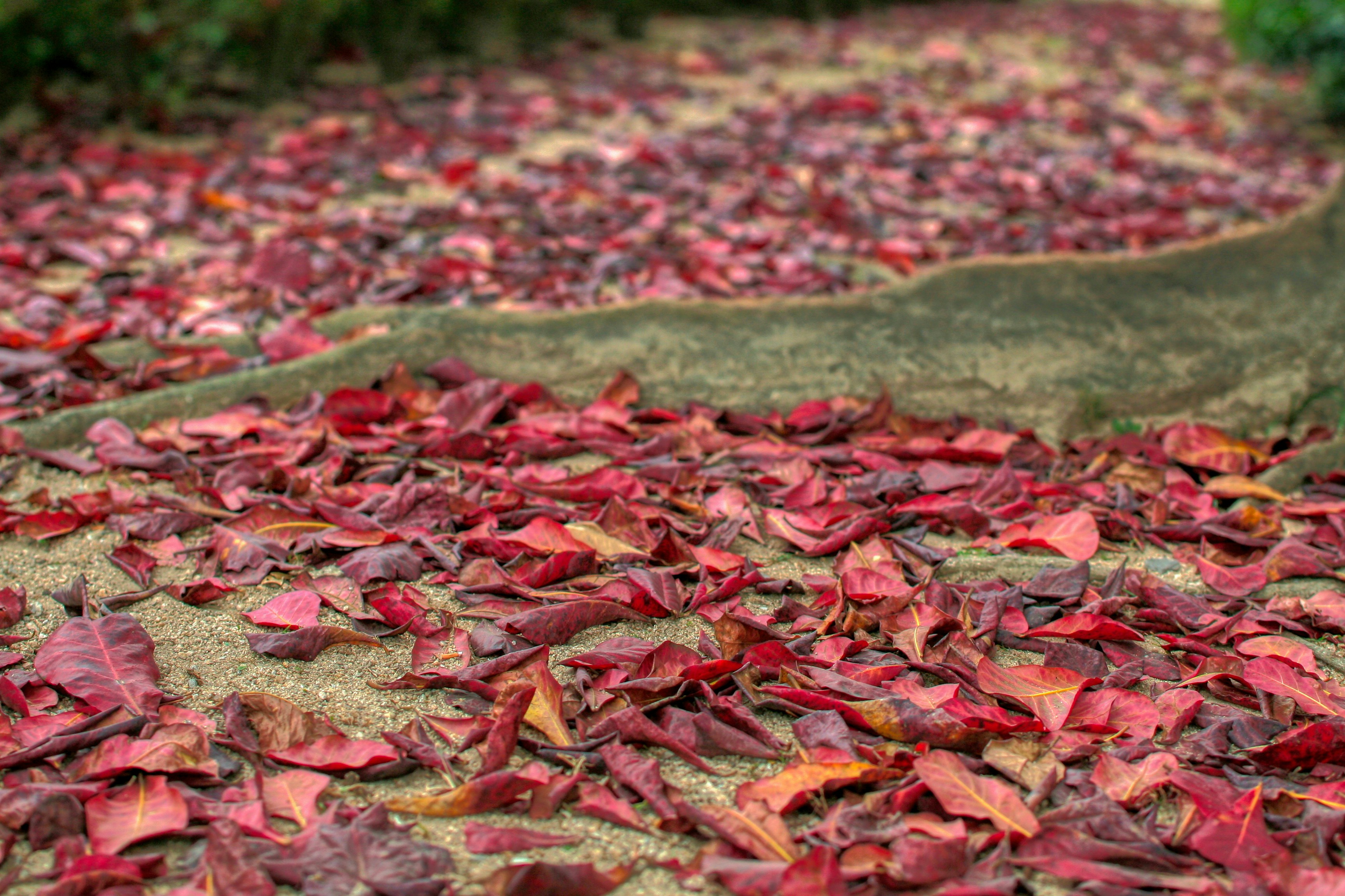 新闻实验室会员通讯（500）五百期