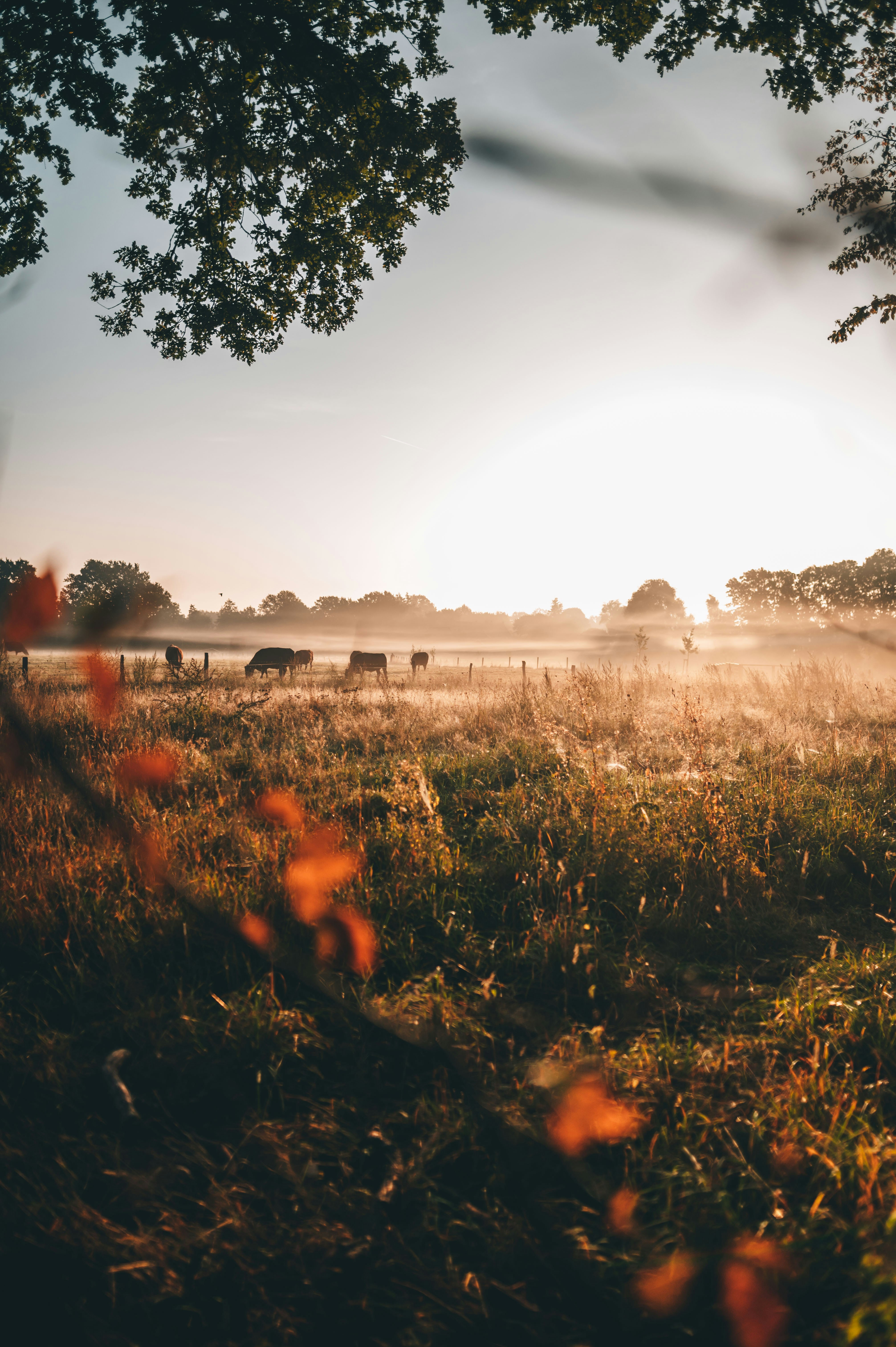 Photo by lukaszischke