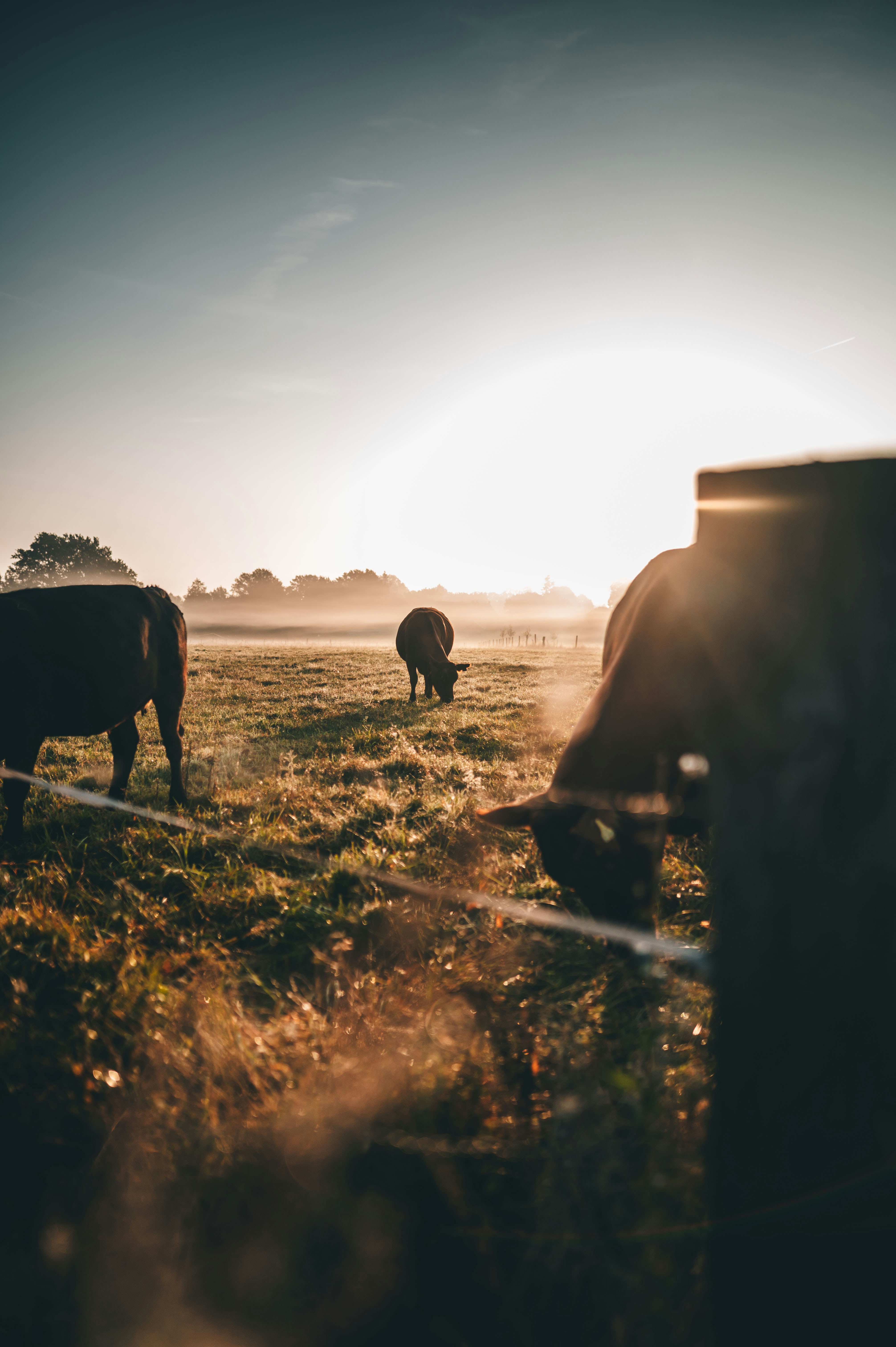 Photo by lukaszischke