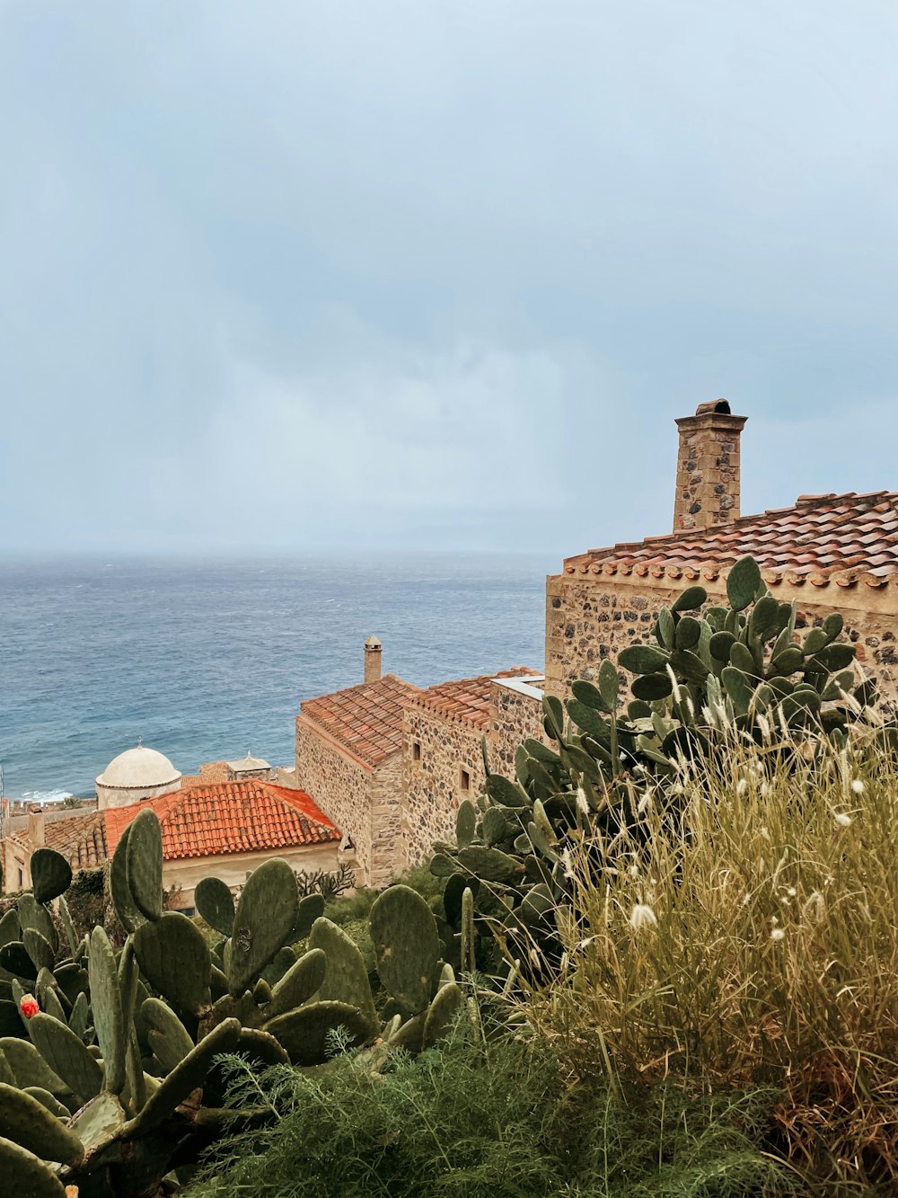 a view of the ocean from a hill top