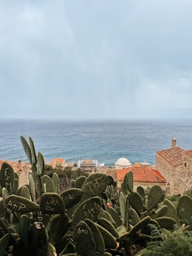 A stunning view of Nuevo Altata by the sea.