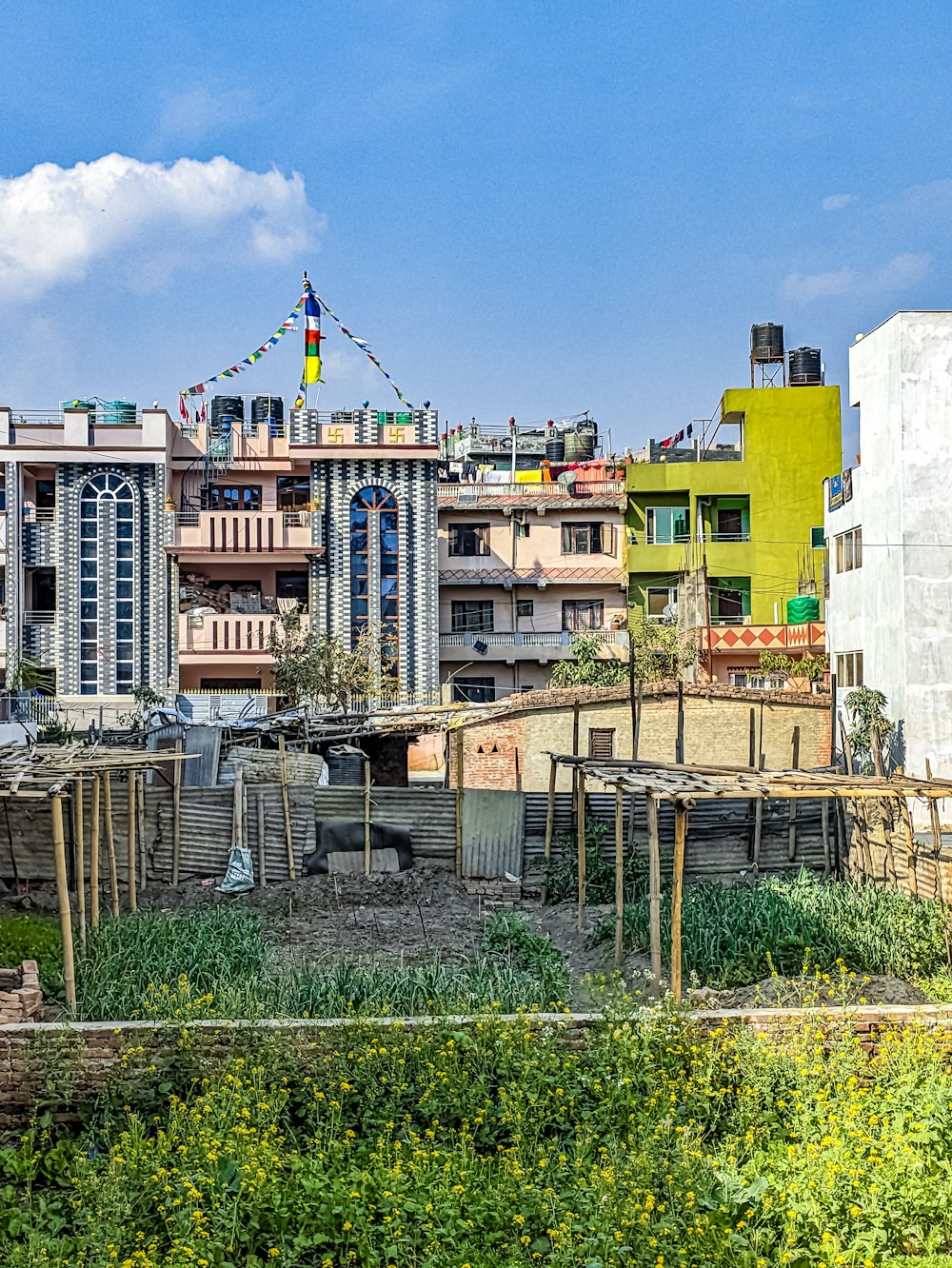 uma cidade com muitos edifícios e muitas árvores