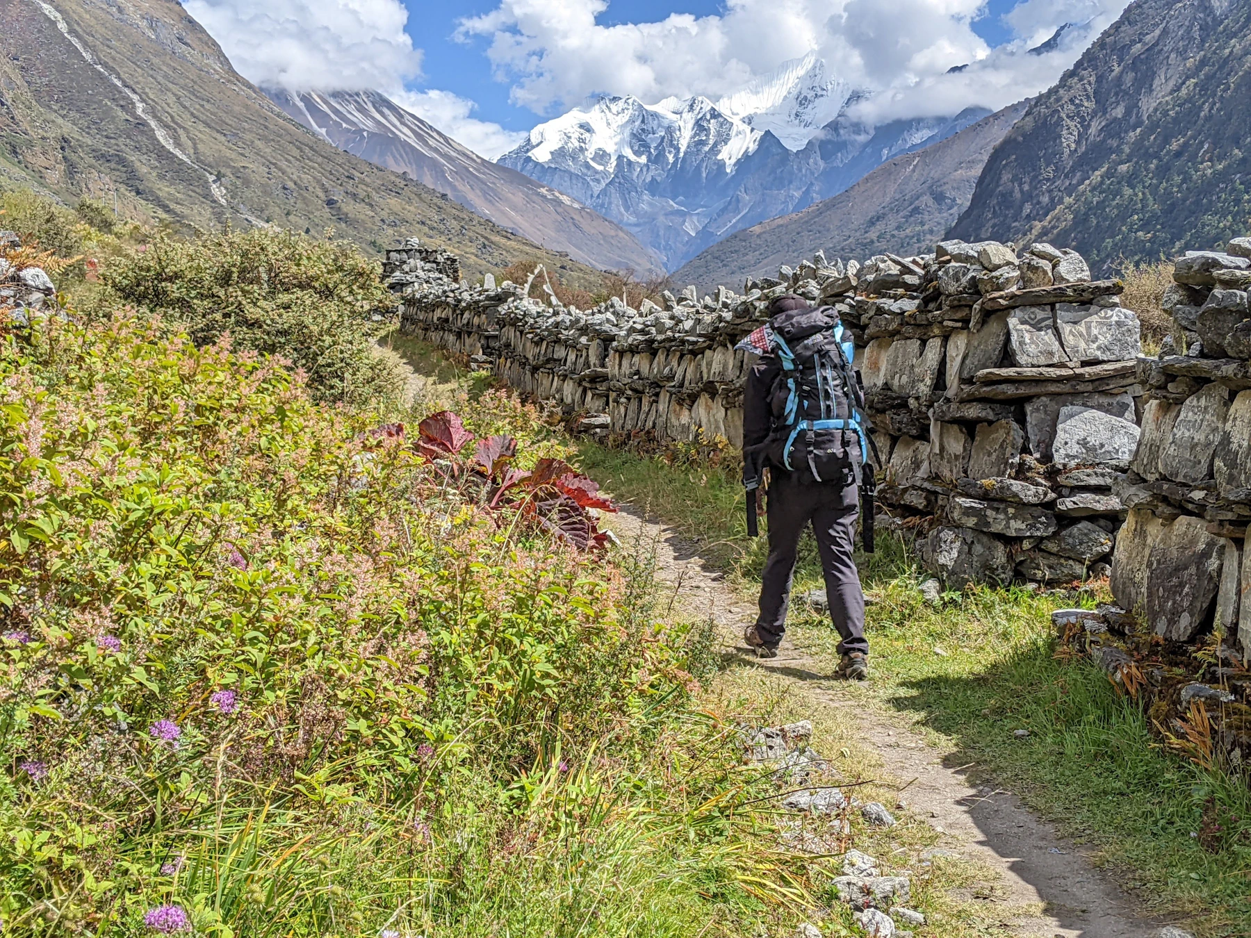 Langtang Valley, Langtang