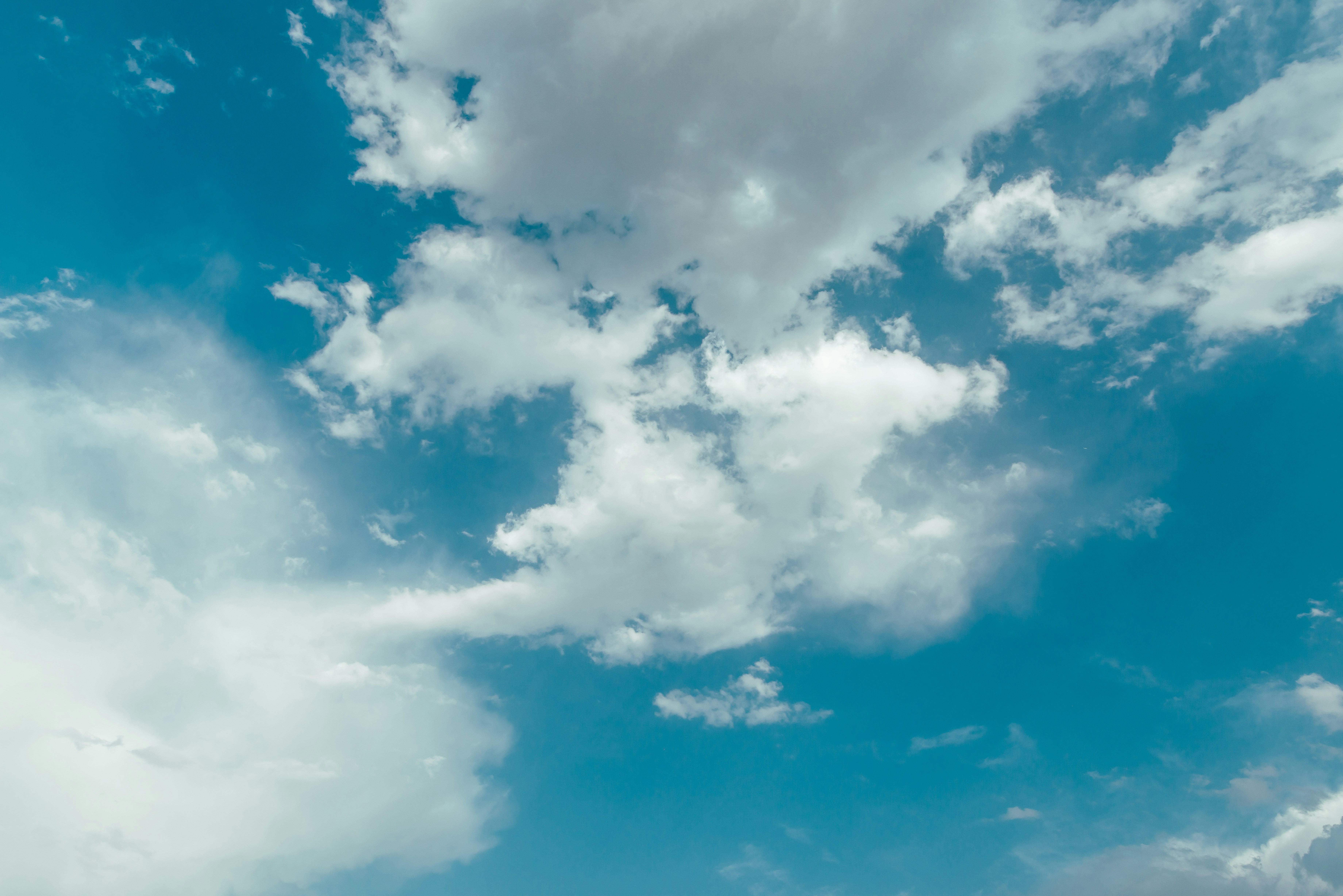 Photo by lukaszischke