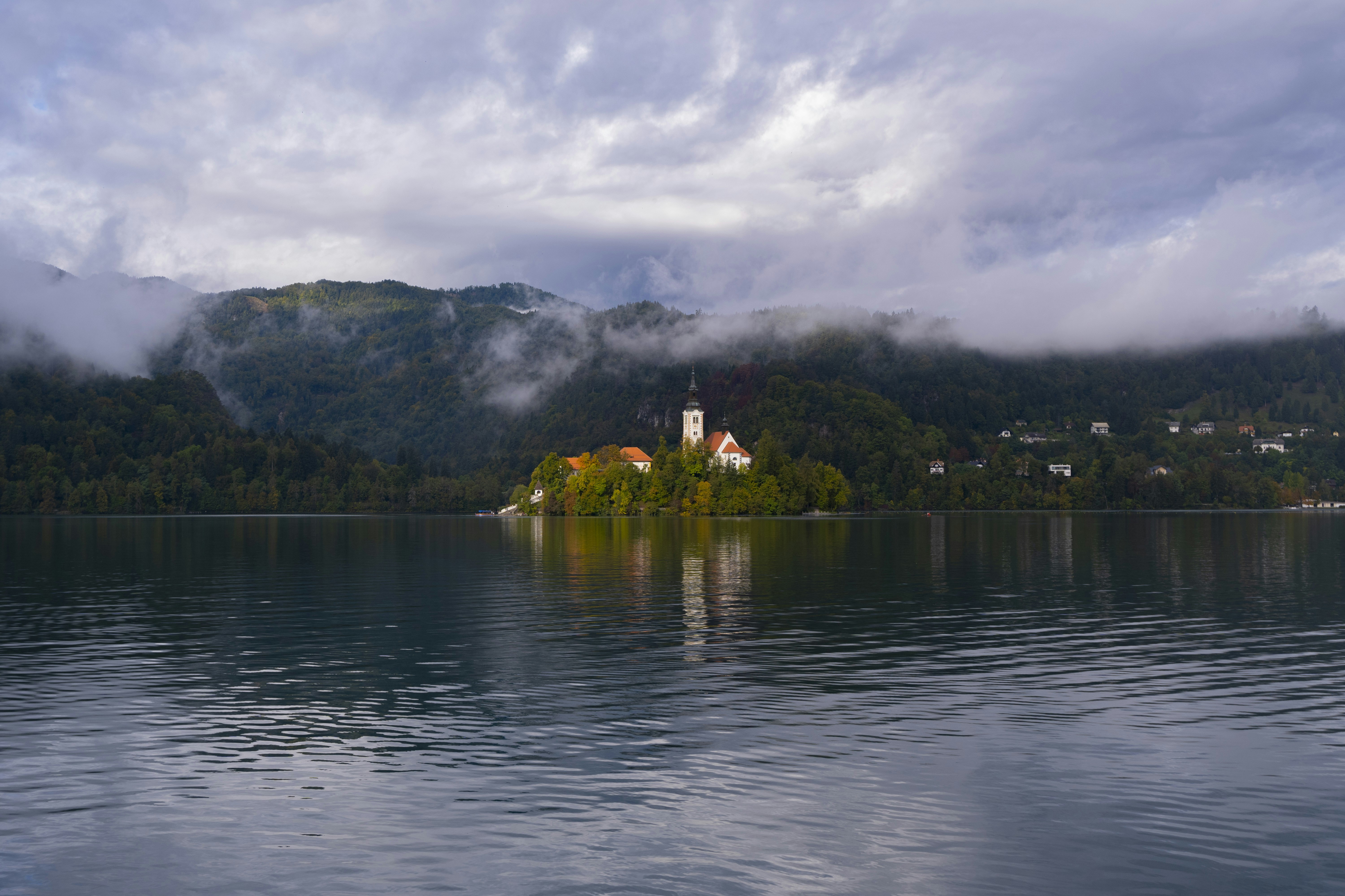 Photo by tillflorian