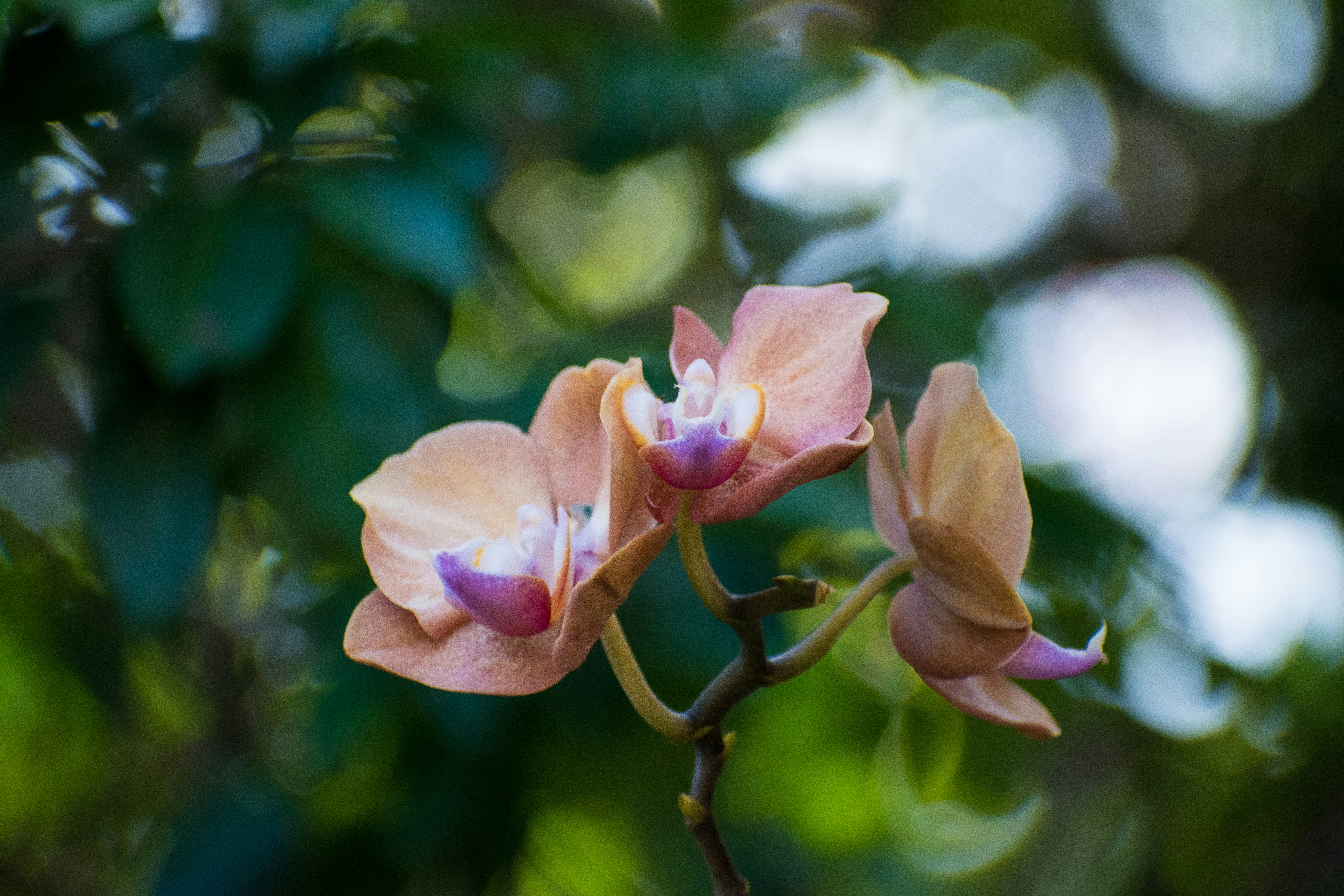 Photo by jayphotography