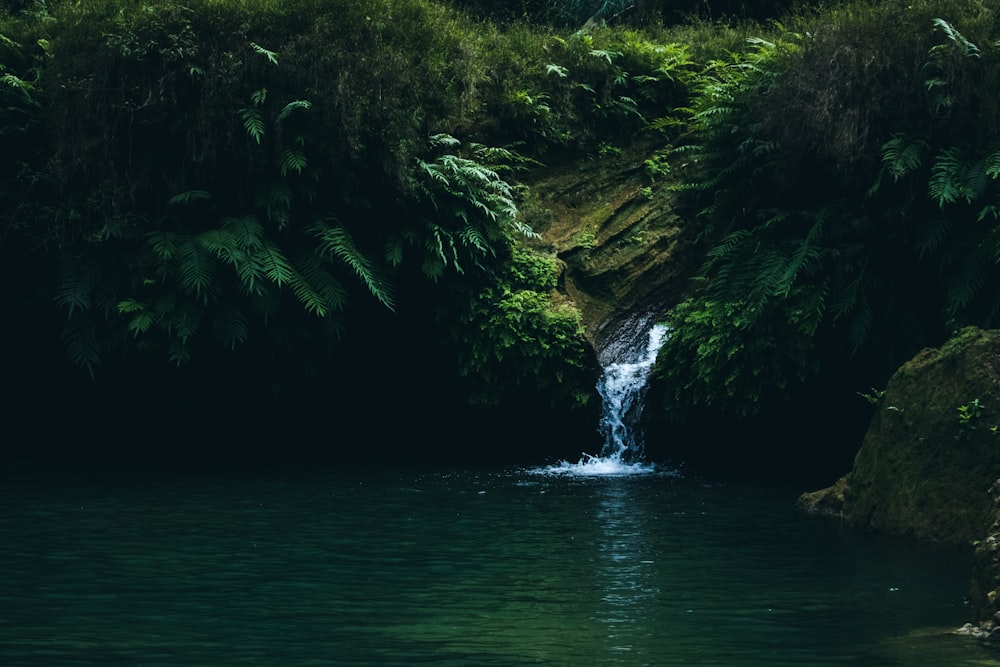 a small waterfall in the middle of a forest